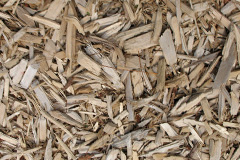 biomass boilers Trawsfynydd